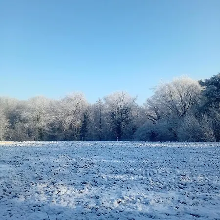 Le Parc D'eden Villeneuve-sous-Dammartin